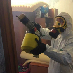 Уничтожение клопов в квартире. Ефимовский